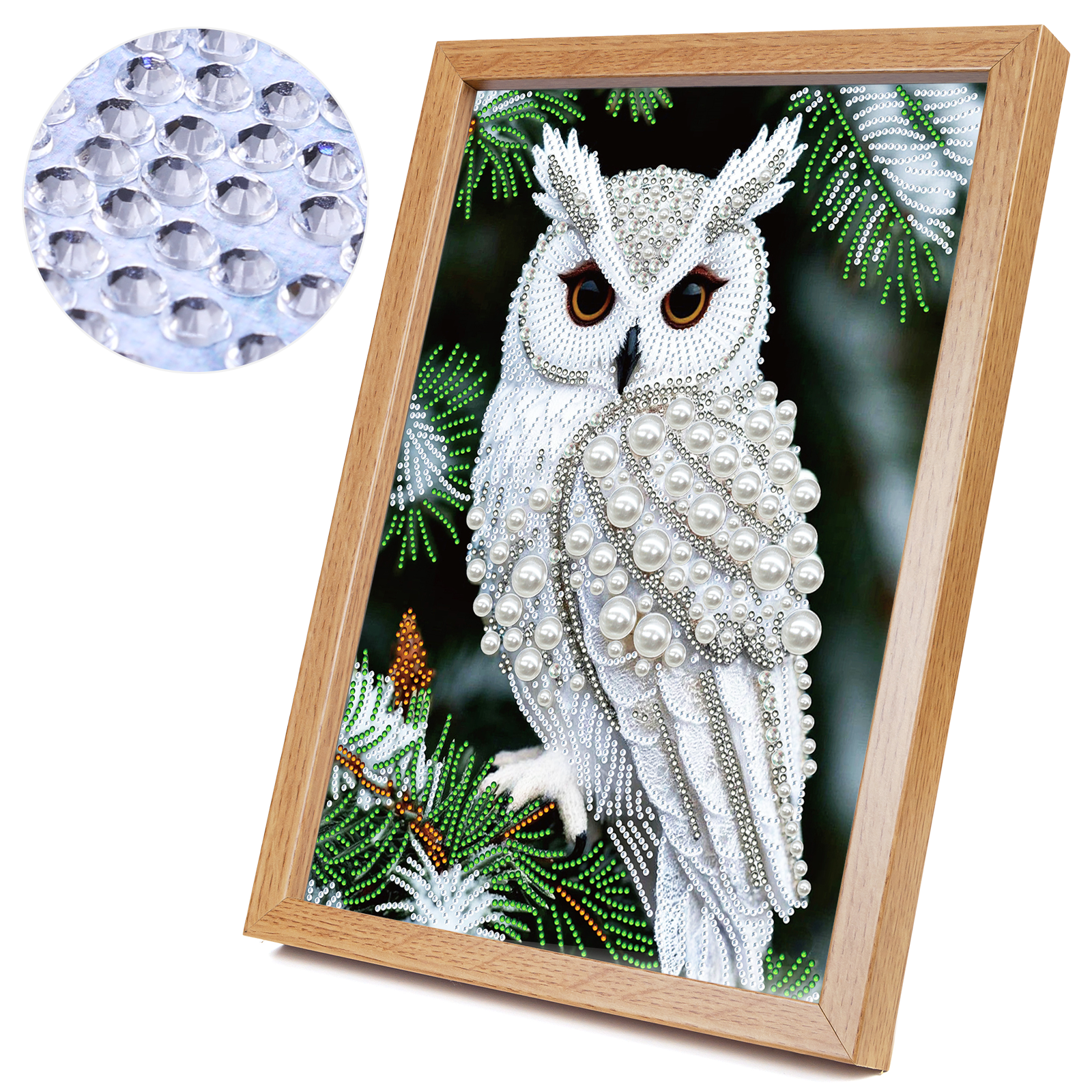 Resin Art Painting - Owl Special Shaped 5D DIY Partial