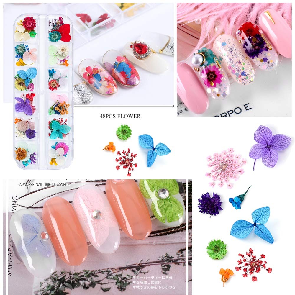 108 Pcs Dried Flowers for Resi - Dried Flower Pressed บทวิจารณ์และราคา