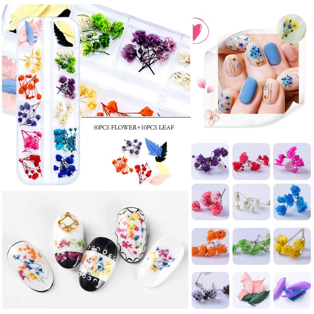 108 Pcs Dried Flowers for Resi - Dried Flower Pressed บทวิจารณ์และราคา