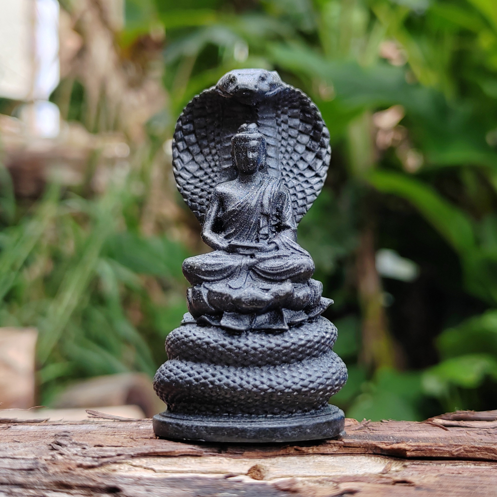 Snake-Guarding-Buddha Sculptur - Resin Art Aesthetic บทวิจารณ์และราคา