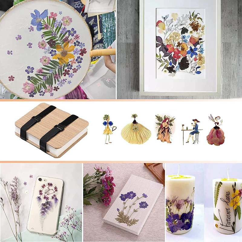 Leaf Pressing Kit DIY Press Fl - Dried Flower Pressed บทวิจารณ์และราคา