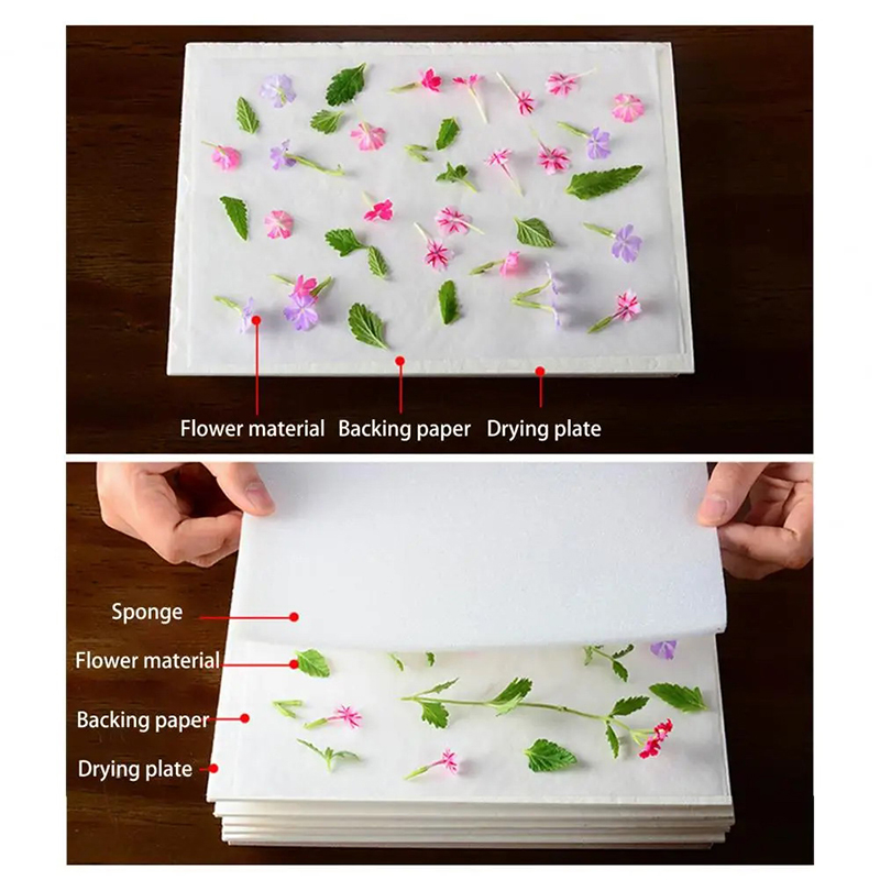 Leaf Pressing Kit DIY Press Fl - Dried Flower Pressed บทวิจารณ์และราคา