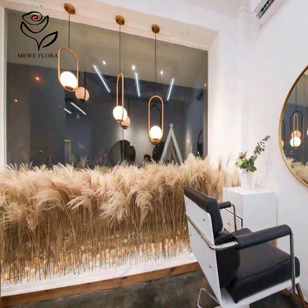 200PCS Natural Dried Fluffy Re - Dried Flower Pressed บทวิจารณ์และราคา