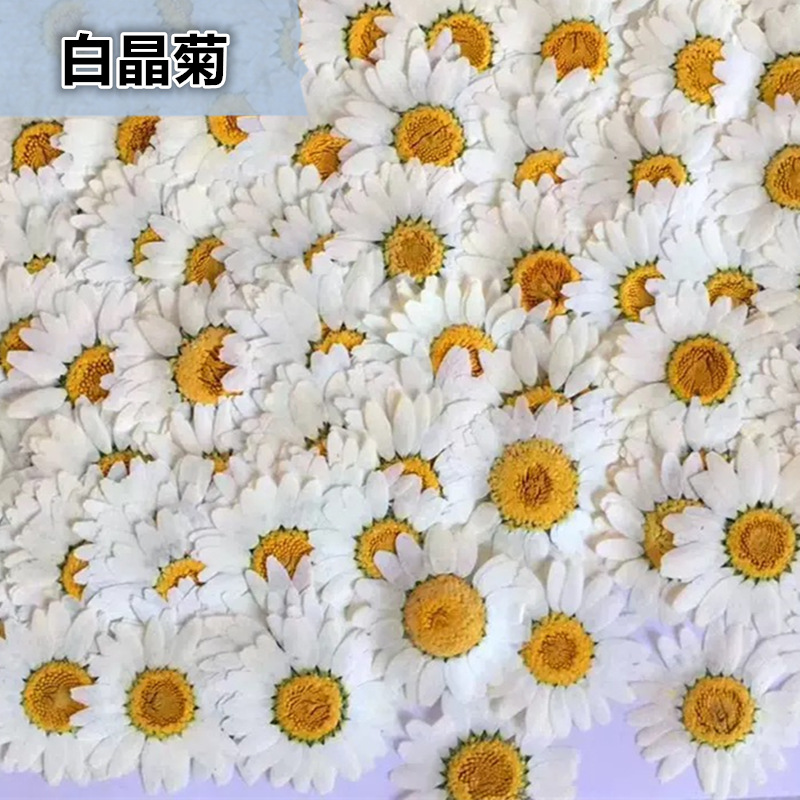 100Pcs Natural White Crystal C - Dried Flower Pressed บทวิจารณ์และราคา