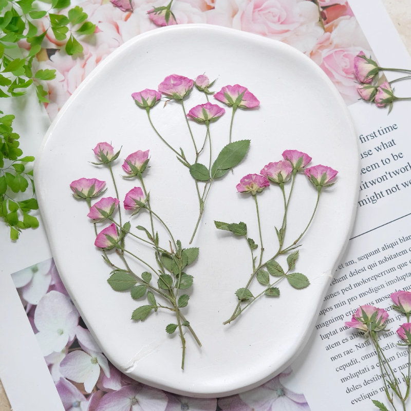 12pcs,Mini Pink Rose Pressed F - Dried Flower Pressed บทวิจารณ์และราคา