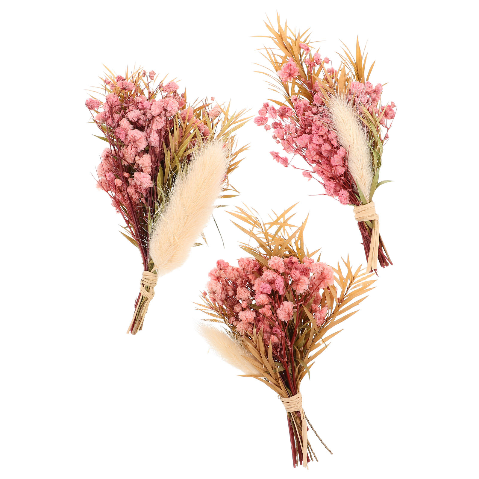 3Pcs Mini Dried Floral Bouquet - Dried Flower Pressed บทวิจารณ์และราคา