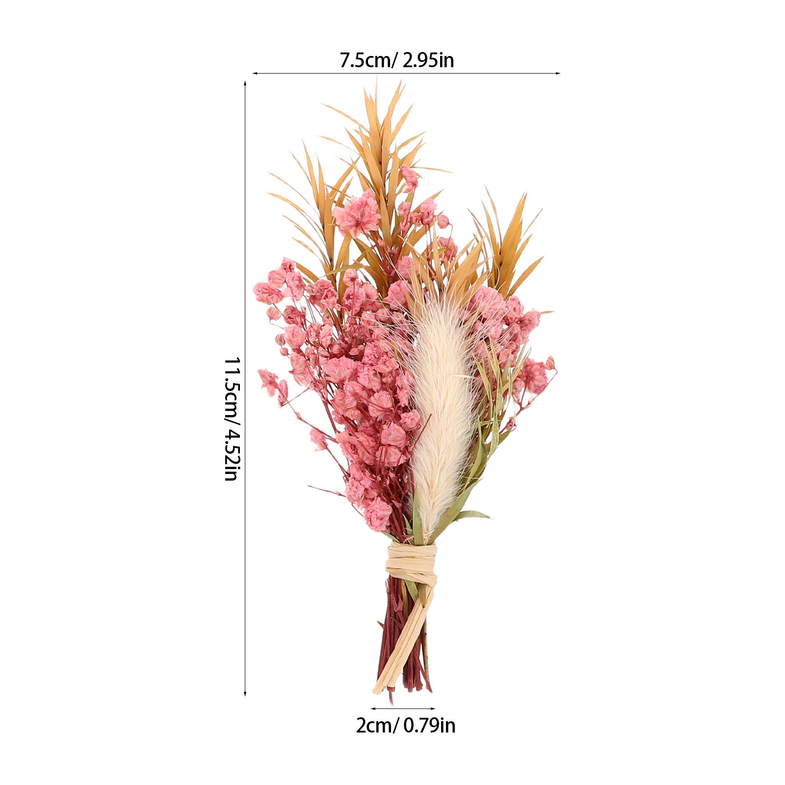 3Pcs Mini Dried Floral Bouquet - Dried Flower Pressed บทวิจารณ์และราคา