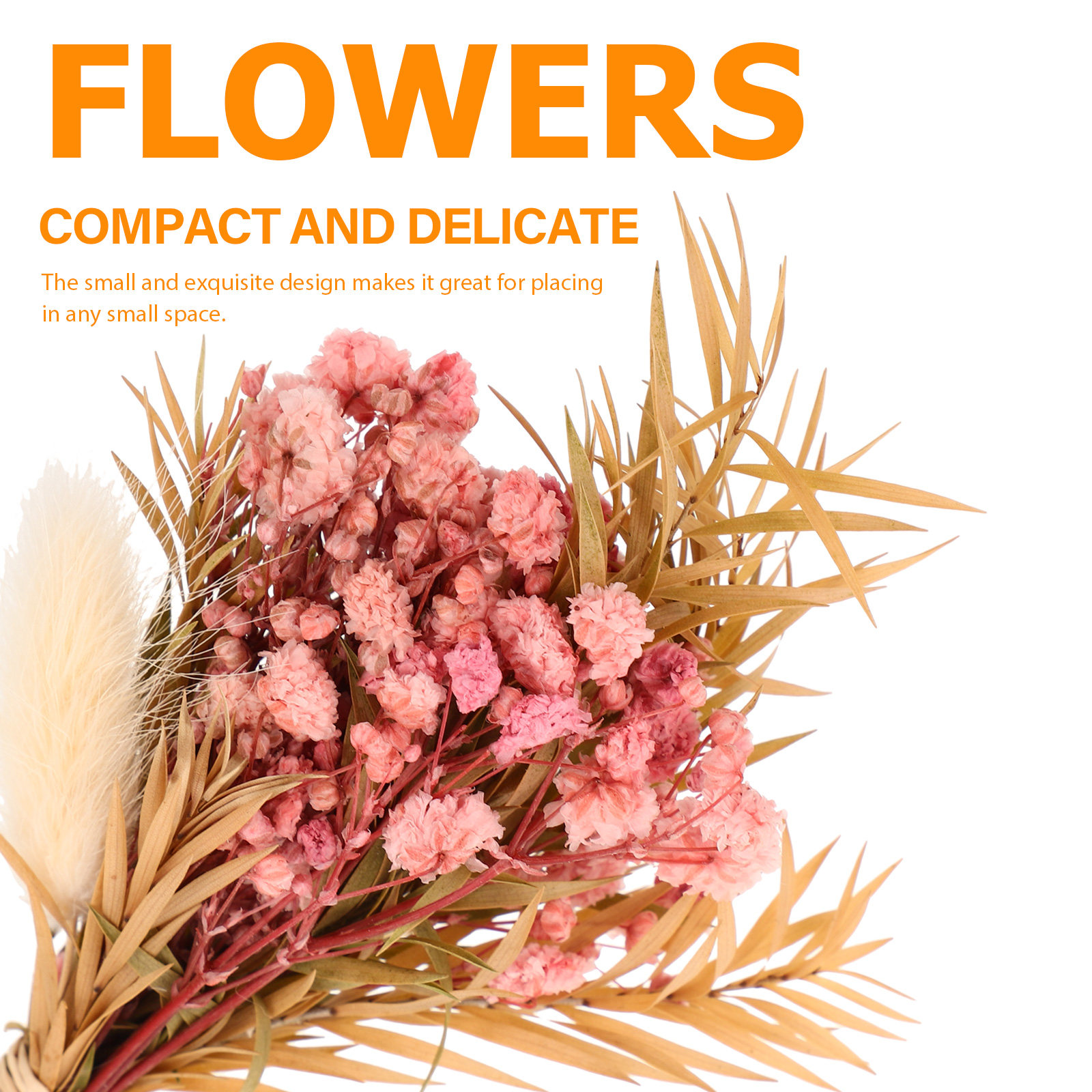 3Pcs Mini Dried Floral Bouquet - Dried Flower Pressed บทวิจารณ์และราคา