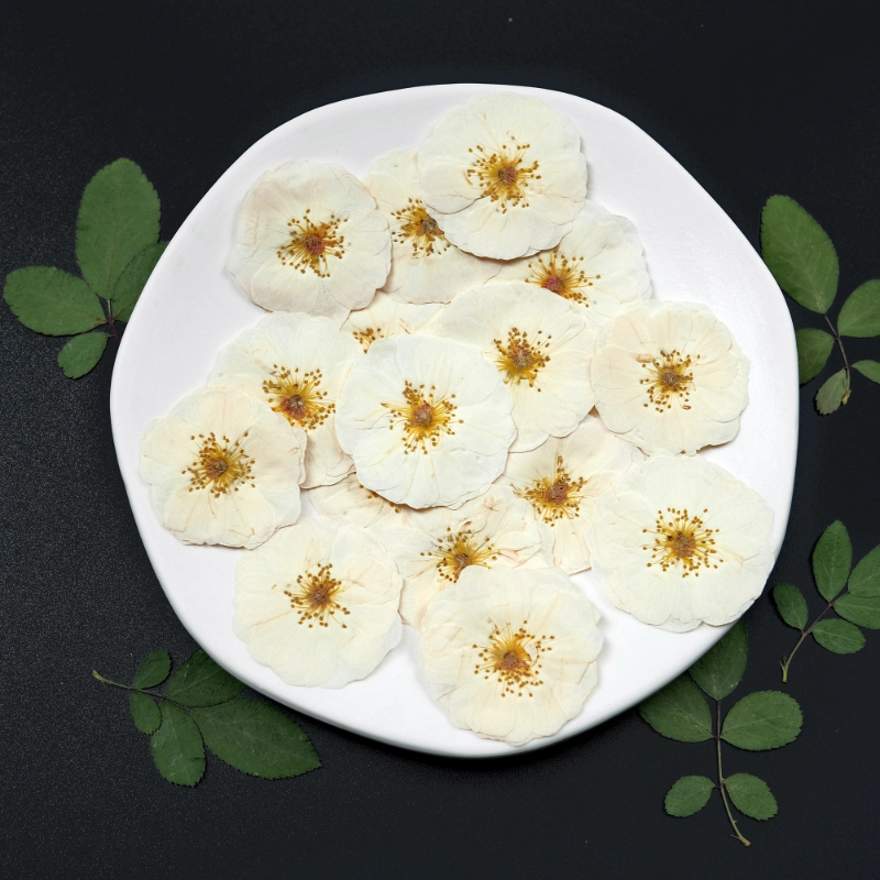 6pcs,9pcs,Nature White Rose Pr - Dried Flower Pressed บทวิจารณ์และราคา