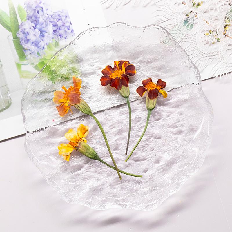 100Pcs Marigold Real Flower Pr - Dried Flower Pressed บทวิจารณ์และราคา