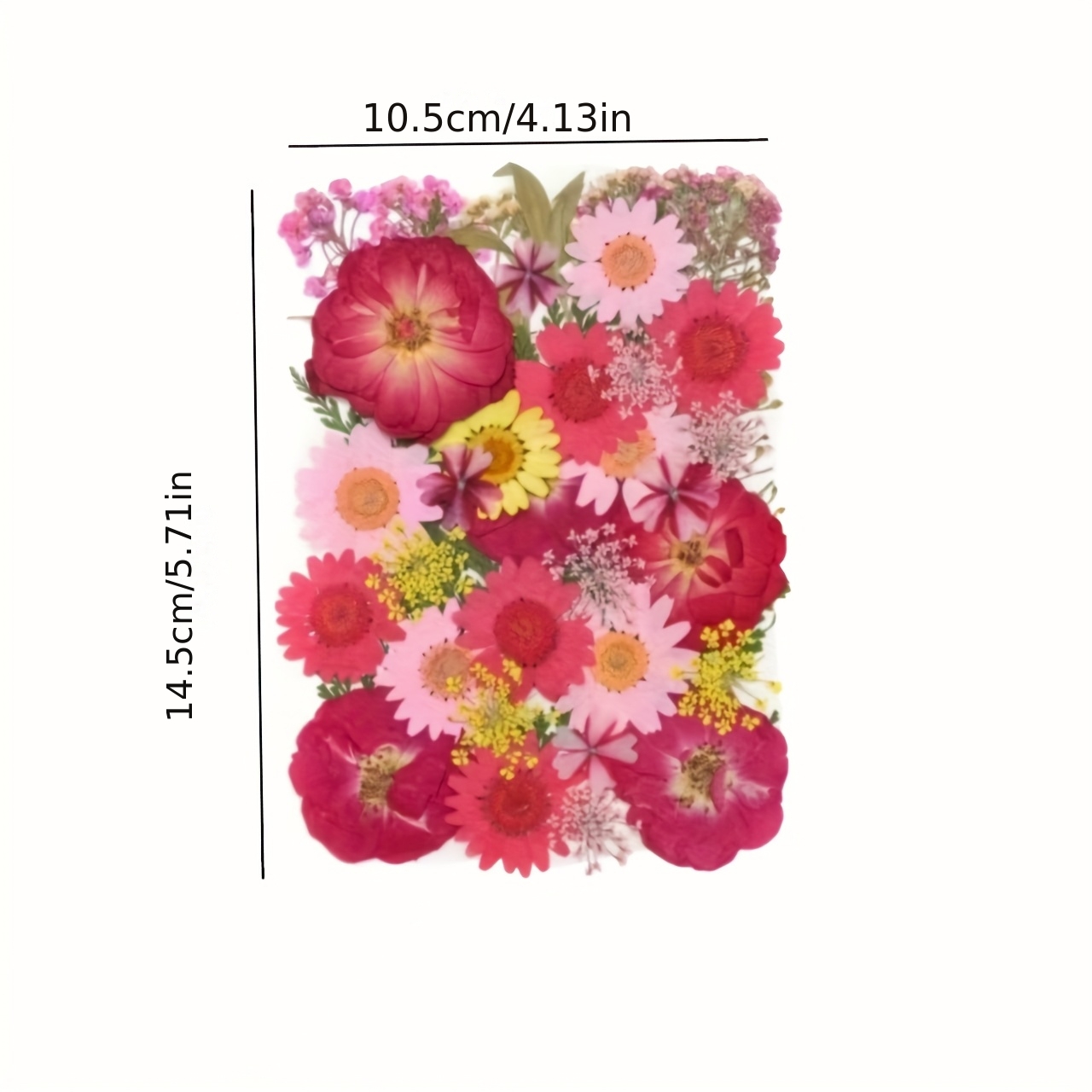 500pcs of Random Materials for - Resin Art And Jewelry บทวิจารณ์และราคา