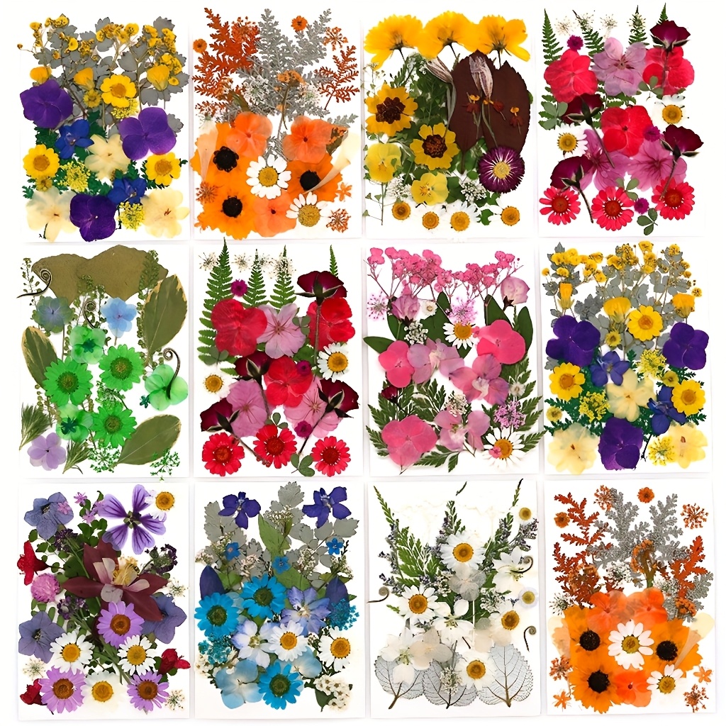 500pcs of Random Materials for - Resin Art And Jewelry บทวิจารณ์และราคา