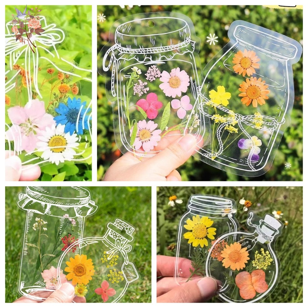 Handmade Pressed Dried Flowers - Dried Flower Pressed บทวิจารณ์และราคา
