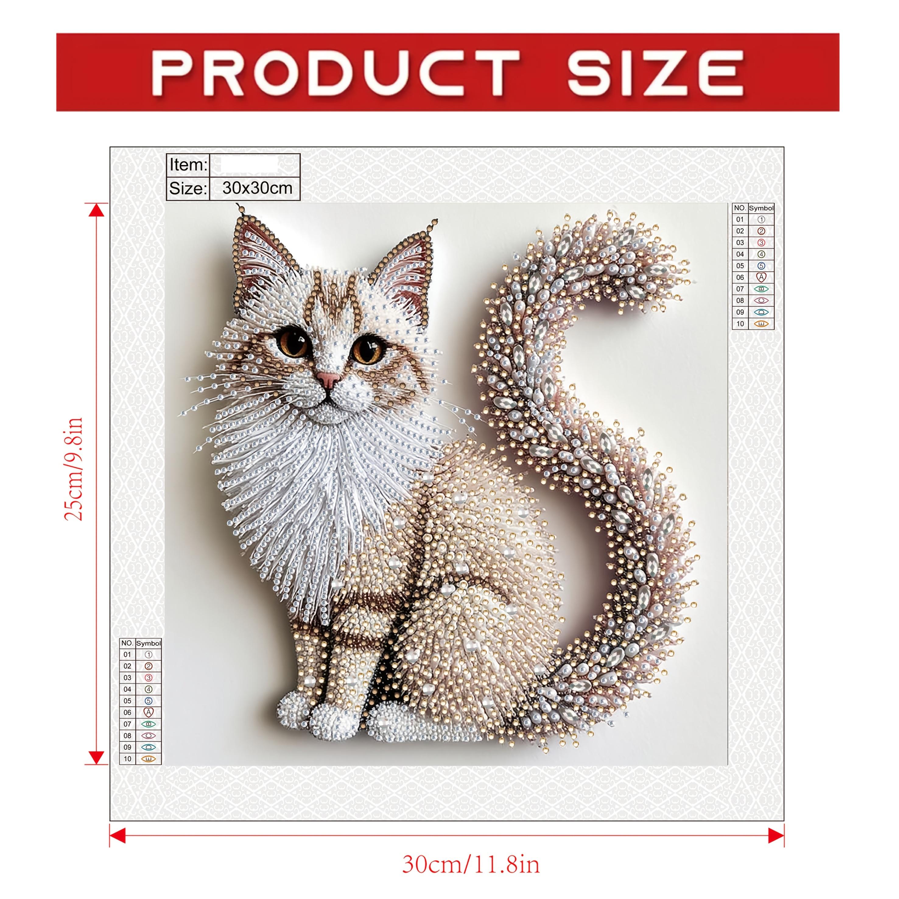 5D Diamond Painting Kit | Fluf - Resin Art On Canvas บทวิจารณ์และราคา