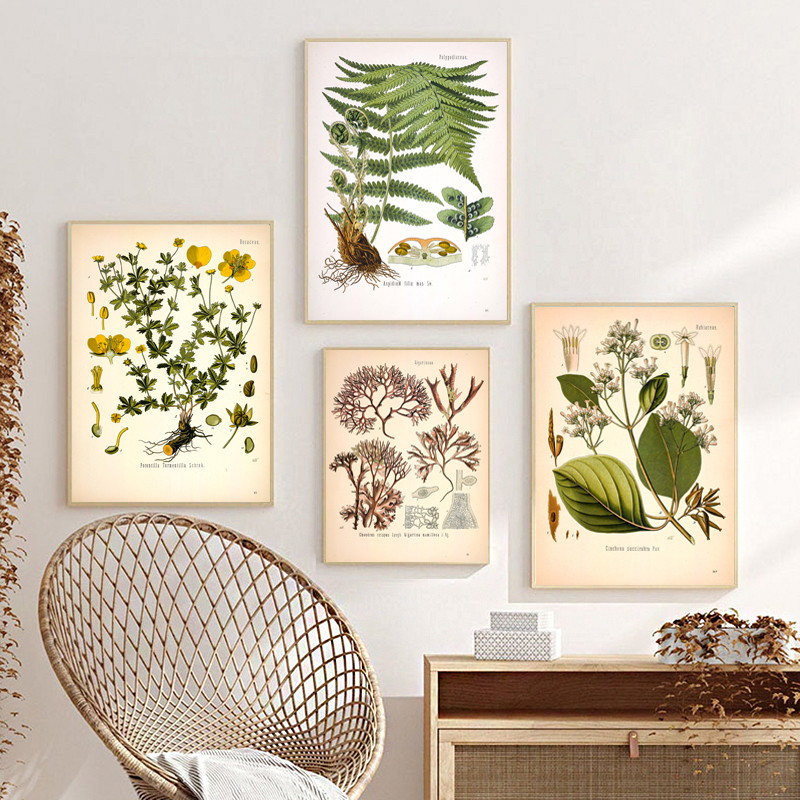 Vintage Medicinal Plants Botan - Resin Art Aesthetic บทวิจารณ์และราคา
