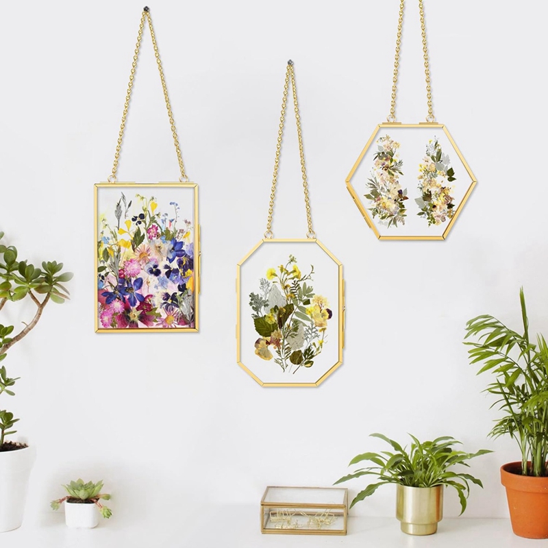 3 Pcs Pressed Flower Frames wi - Dried Flower Pressed บทวิจารณ์และราคา