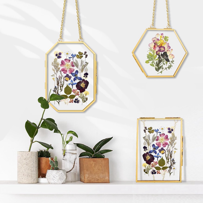 3 Pcs Pressed Flower Frames wi - Dried Flower Pressed บทวิจารณ์และราคา