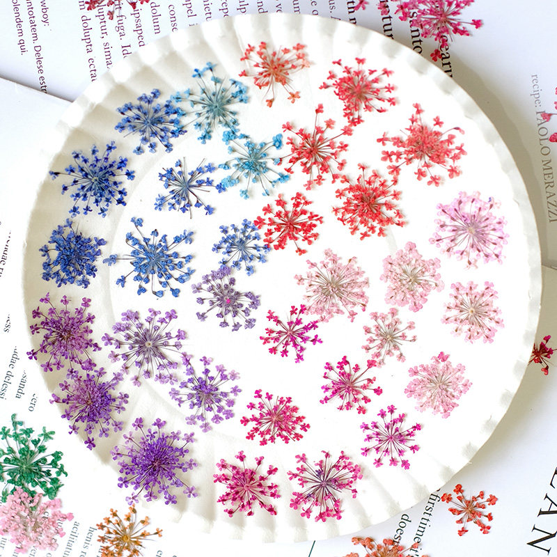 24pcs, 2-2.5cm, Nature Dyed Mi - Resin Art And Jewelry บทวิจารณ์และราคา