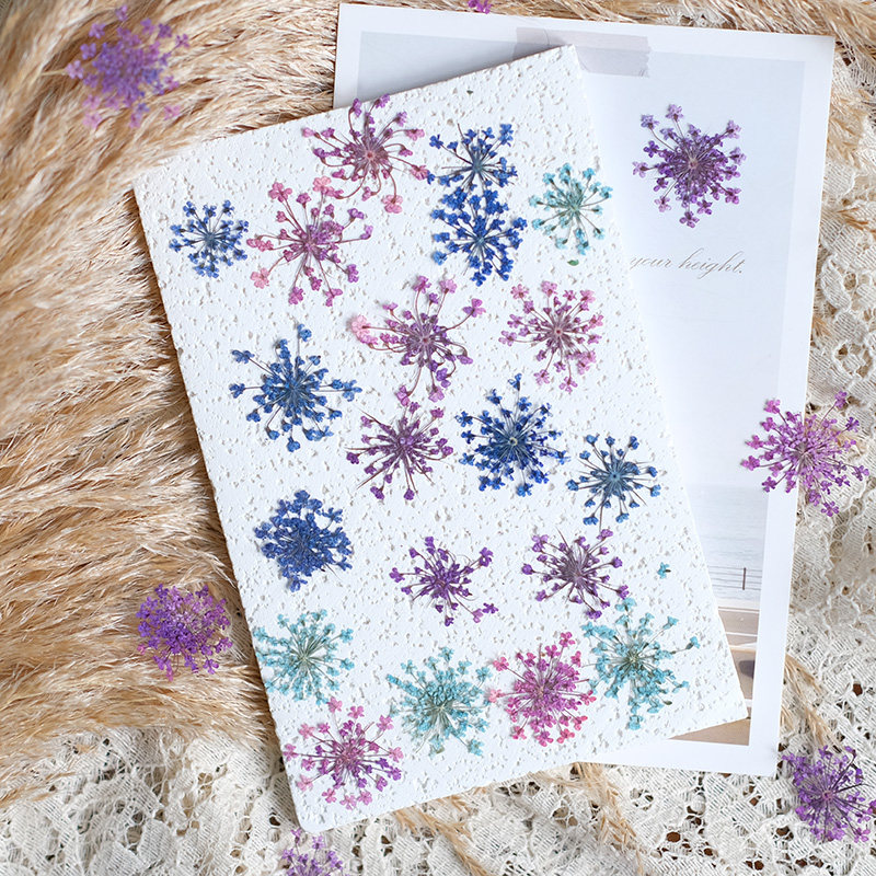 24pcs, 2-2.5cm, Nature Dyed Mi - Resin Art And Jewelry บทวิจารณ์และราคา