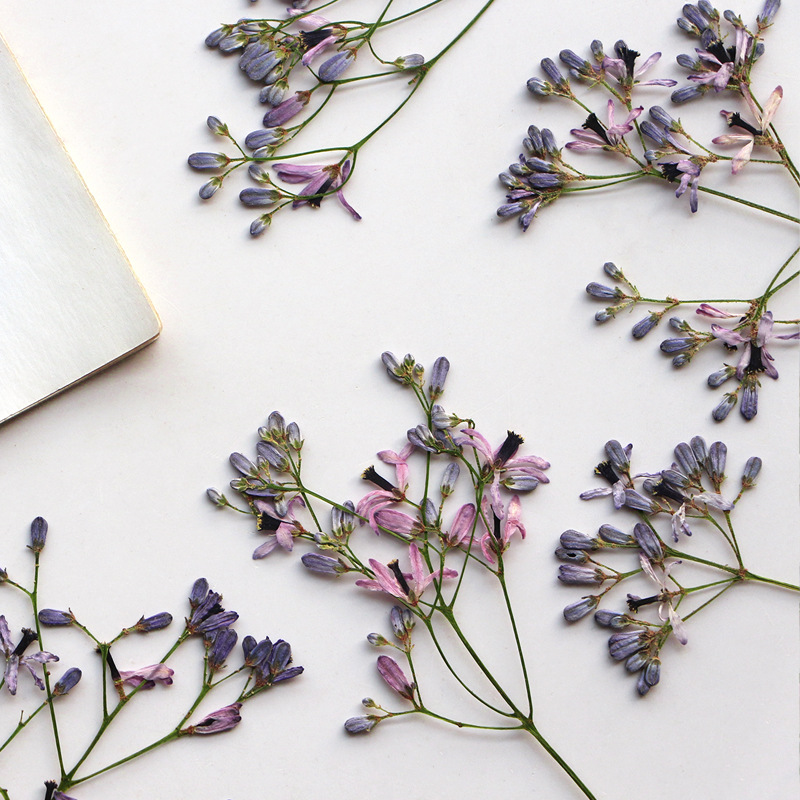 60Pcs Neem Tree Flower Branche - Resin Art And Jewelry บทวิจารณ์และราคา