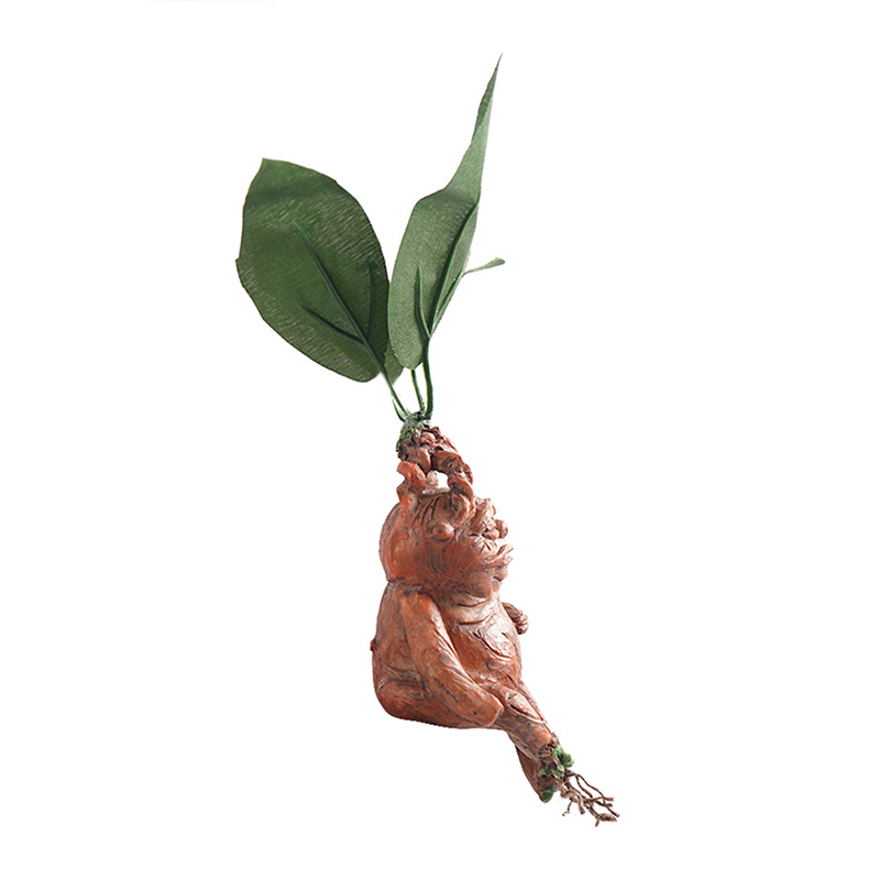 1PCS Mandrake Grass Resin Stat - Resin Art Gift For Anniversary บทวิจารณ์และราคา
