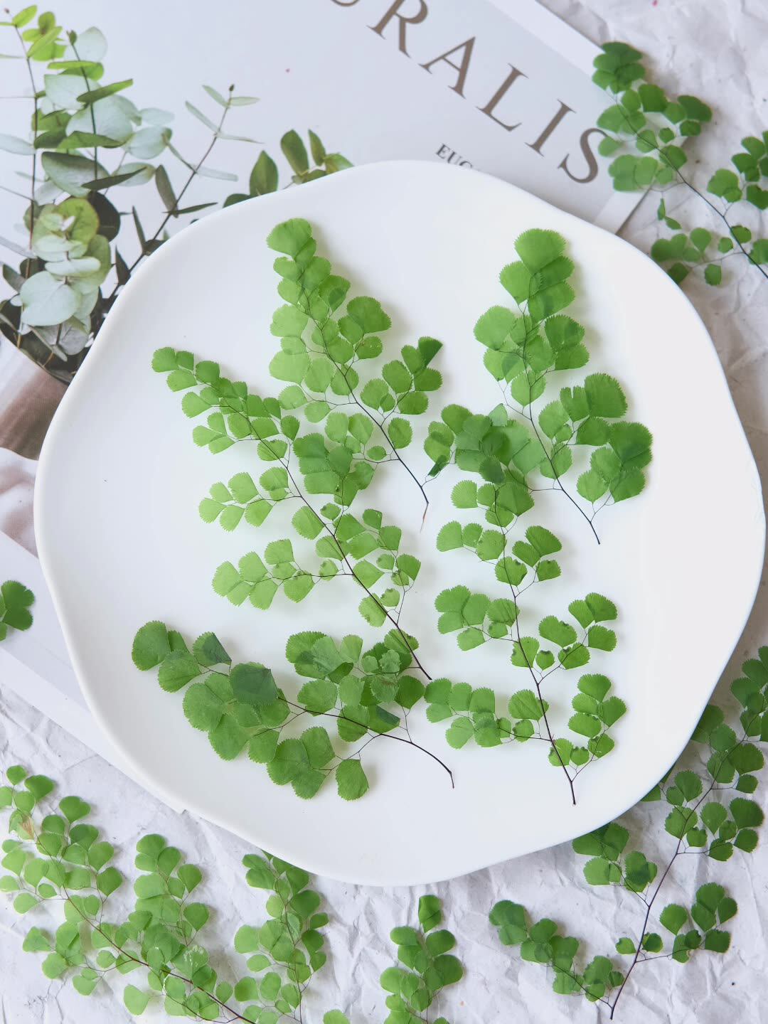 60Pcs Natural Plant Real Flowe - Dried Flower Pressed บทวิจารณ์และราคา