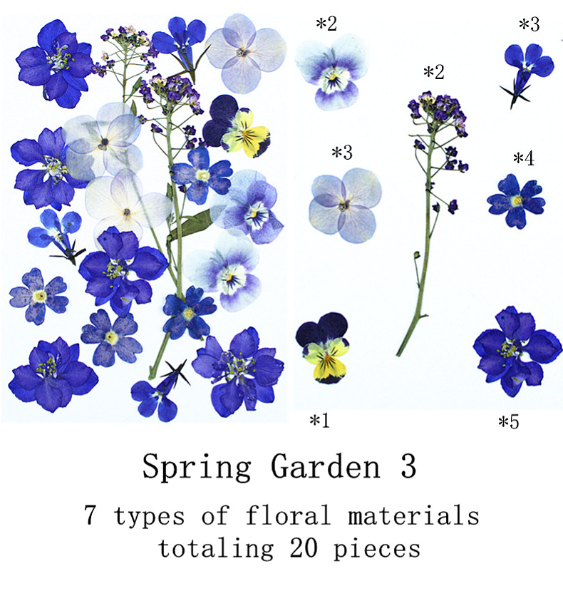 Natural Real Flower Pressed Fl - Dried Flower Pressed บทวิจารณ์และราคา
