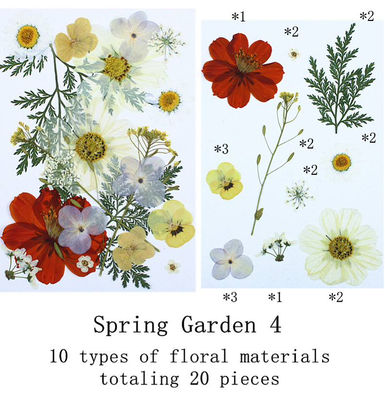 Natural Real Flower Pressed Fl - Dried Flower Pressed บทวิจารณ์และราคา